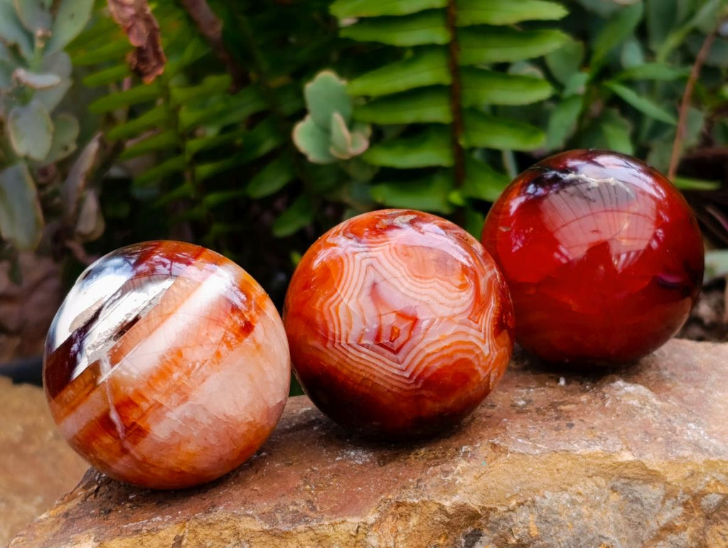 Polished Carnelian Agate Gemstone Spheres x 12 From Madagascar