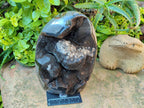 Polished XL Septerye Sauvage "Dragons Egg" Geode Standing Free Form x 1 From Mahajanga, Madagascar
