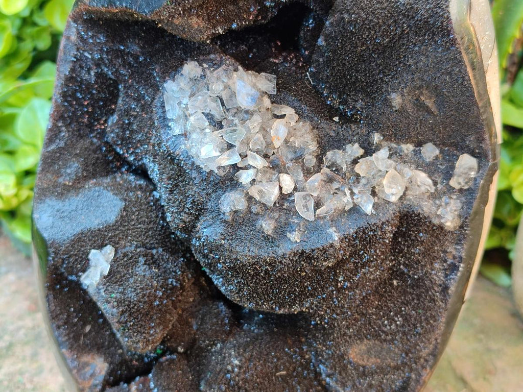 Polished XL Septerye Sauvage "Dragons Egg" Geode Standing Free Form x 1 From Mahajanga, Madagascar