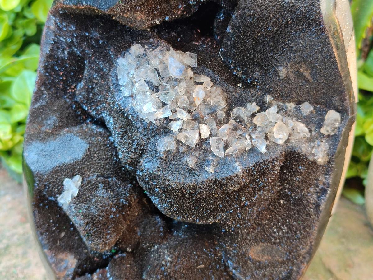 Polished XL Septerye Sauvage "Dragons Egg" Geode Standing Free Form x 1 From Mahajanga, Madagascar