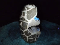 Polished XL Septerye Sauvage "Dragons Egg" Geode Standing Free Form x 1 From Mahajanga, Madagascar