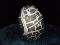 Polished XL Septerye Sauvage "Dragons Egg" Geode Standing Free Form x 1 From Mahajanga, Madagascar