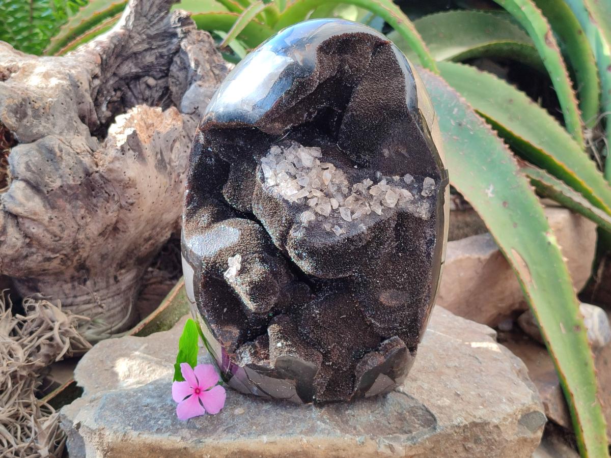 Polished XL Septerye Sauvage "Dragons Egg" Geode Standing Free Form x 1 From Mahajanga, Madagascar