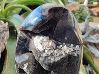 Polished XL Septerye Sauvage "Dragons Egg" Geode Standing Free Form x 1 From Mahajanga, Madagascar