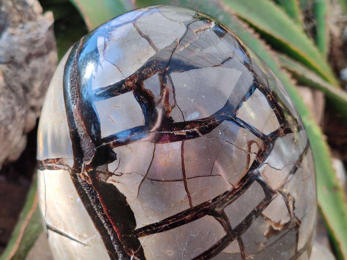 Polished XL Septerye Sauvage "Dragons Egg" Geode Standing Free Form x 1 From Mahajanga, Madagascar