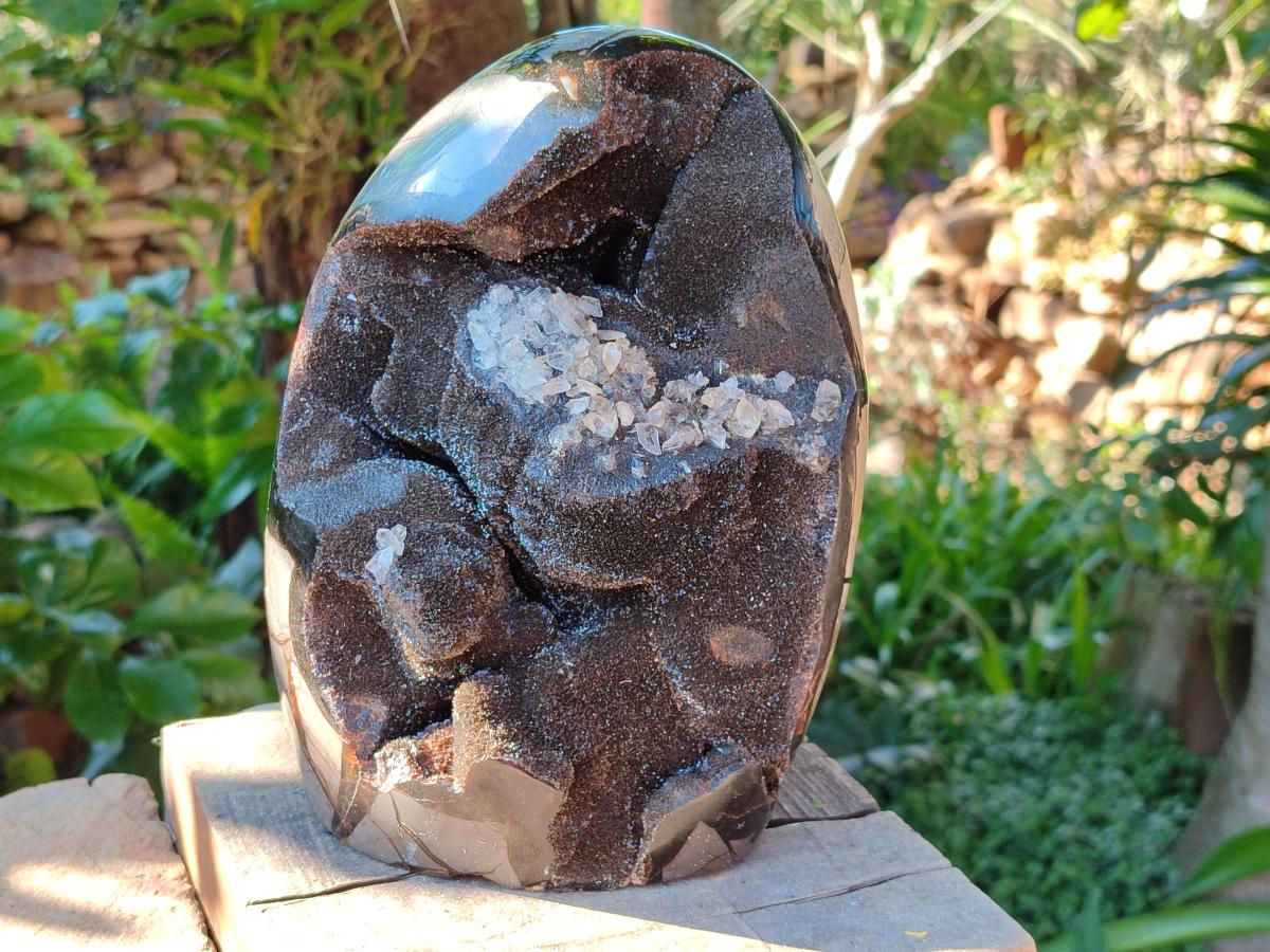 Polished XL Septerye Sauvage "Dragons Egg" Geode Standing Free Form x 1 From Mahajanga, Madagascar