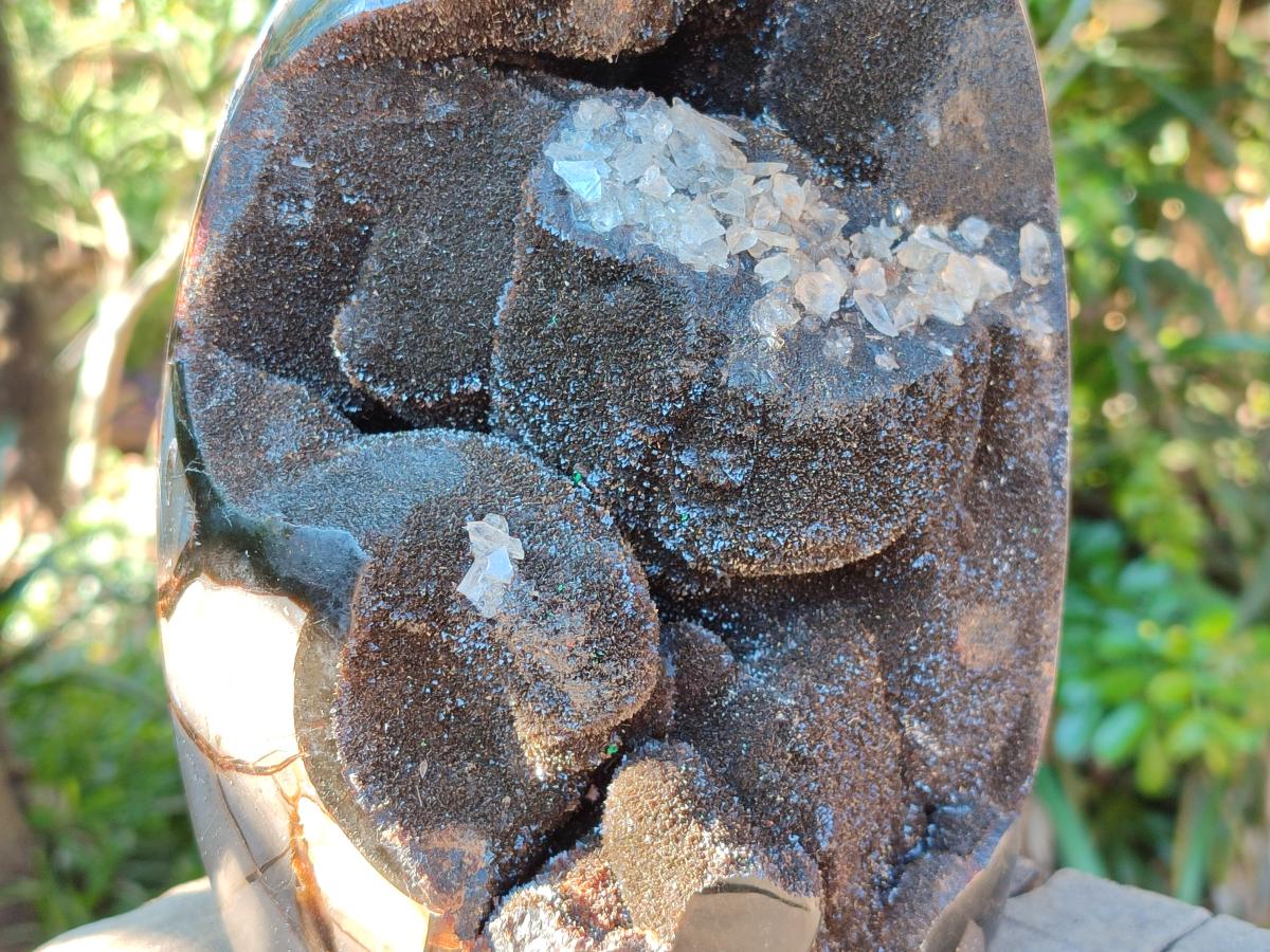 Polished XL Septerye Sauvage "Dragons Egg" Geode Standing Free Form x 1 From Mahajanga, Madagascar