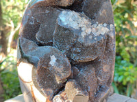Polished XL Septerye Sauvage "Dragons Egg" Geode Standing Free Form x 1 From Mahajanga, Madagascar