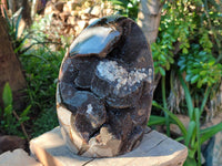 Polished XL Septerye Sauvage "Dragons Egg" Geode Standing Free Form x 1 From Mahajanga, Madagascar