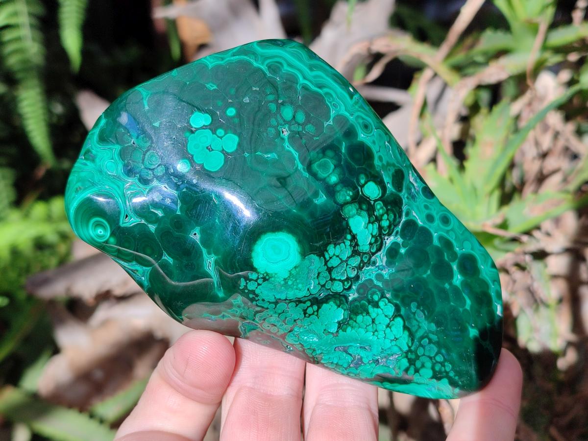 Polished Flower Banded Malachite Free Forms x 4 From Congo