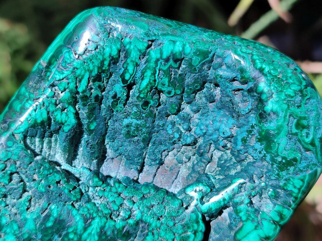 Polished Flower Banded Malachite Free Forms x 4 From Congo