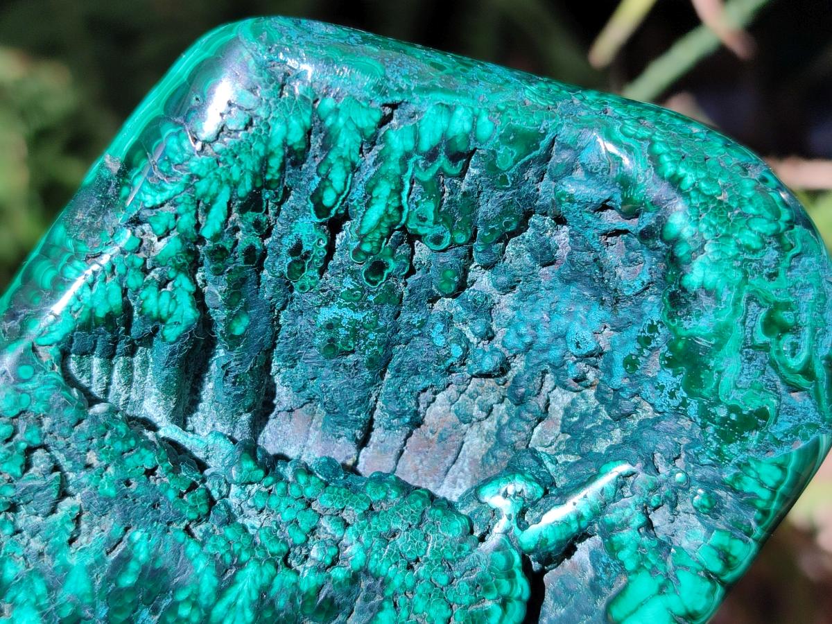 Polished Flower Banded Malachite Free Forms x 4 From Congo