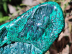 Polished Flower Banded Malachite Free Forms x 4 From Congo