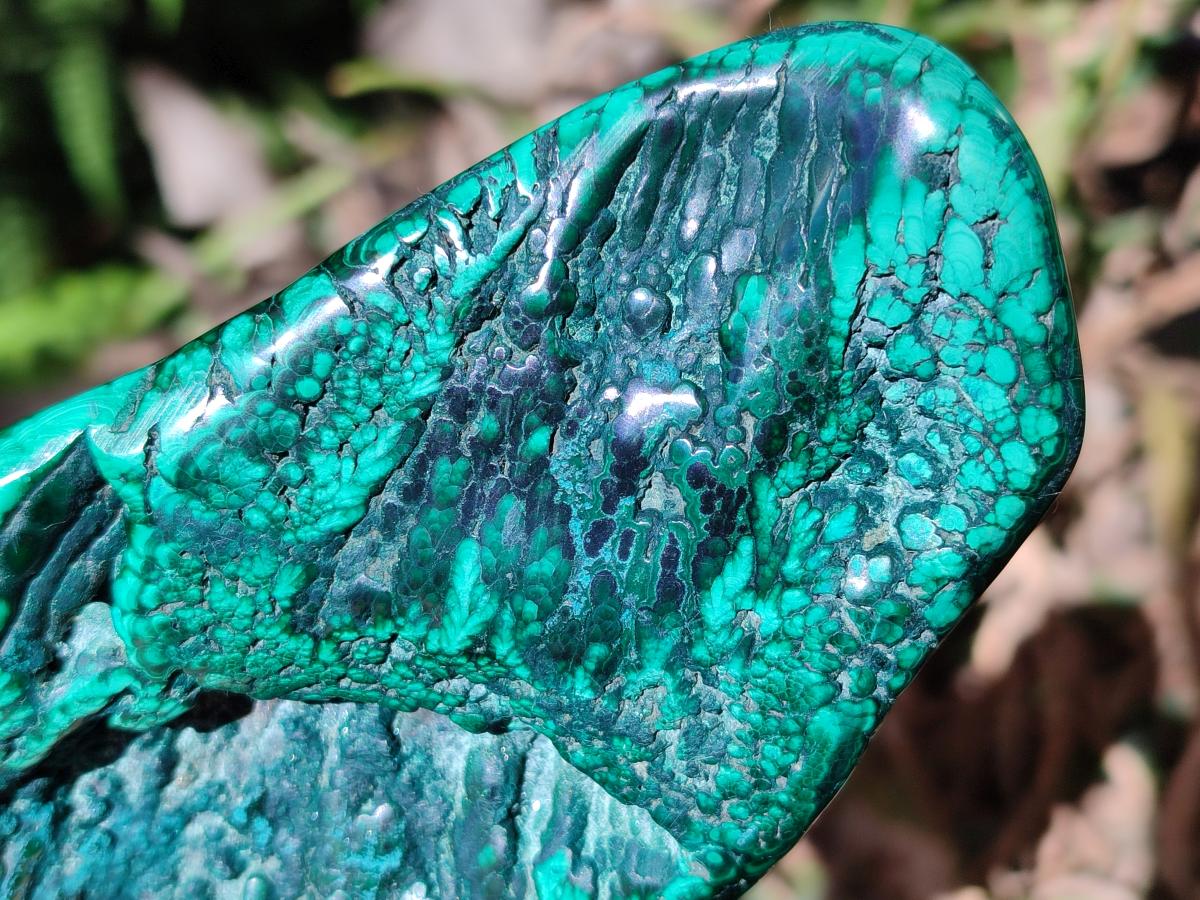 Polished Flower Banded Malachite Free Forms x 4 From Congo