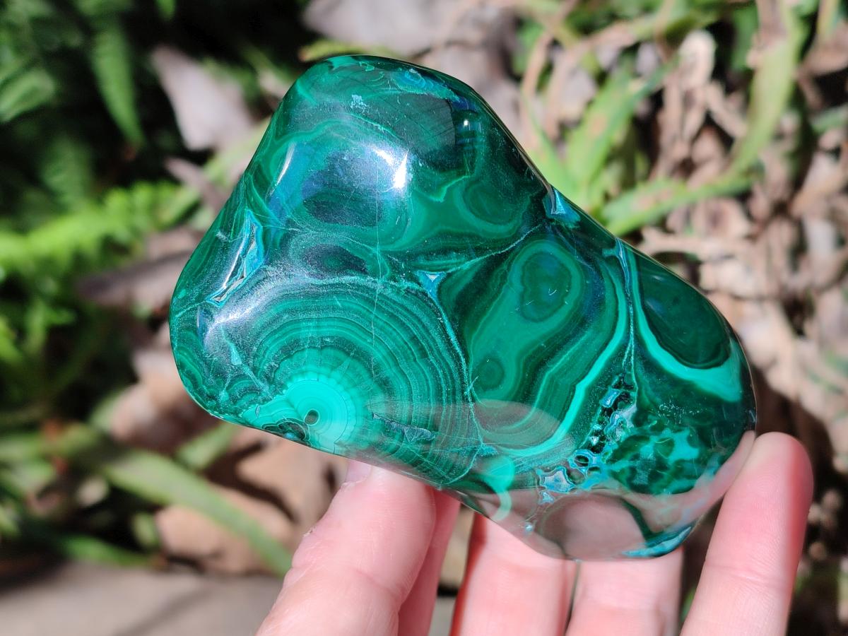 Polished Flower Banded Malachite Free Forms x 4 From Congo - Toprock Gemstones and Minerals 
