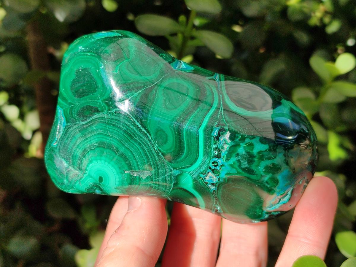 Polished Flower Banded Malachite Free Forms x 4 From Congo