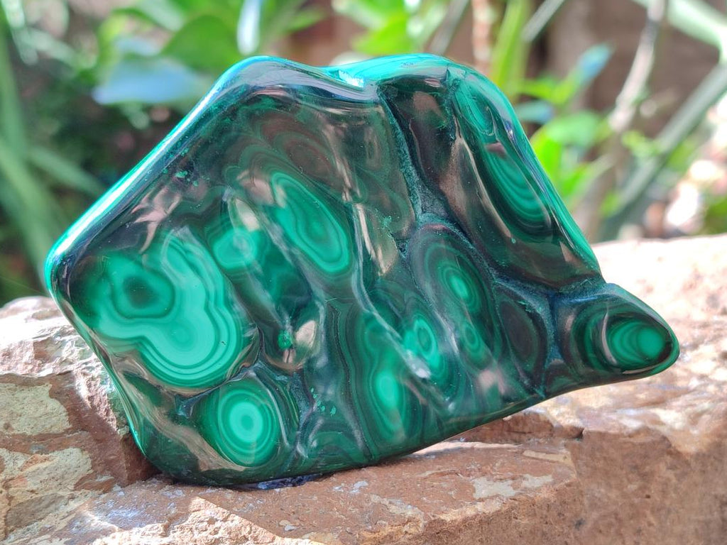 Polished Flower Banded Malachite Free Forms x 4 From Congo