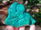 Polished Flower Banded Malachite Free Forms x 4 From Congo