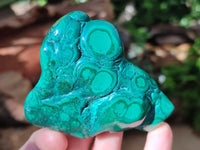 Polished Flower Banded Malachite Free Forms x 4 From Congo