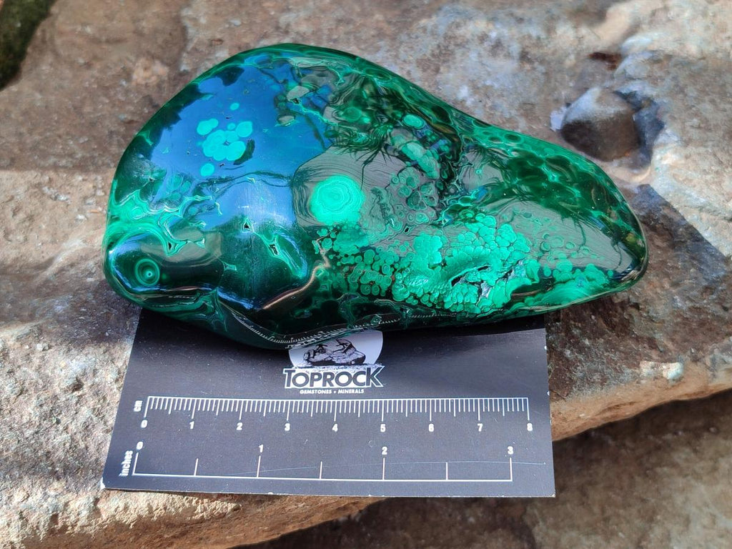 Polished Flower Banded Malachite Free Forms x 4 From Congo