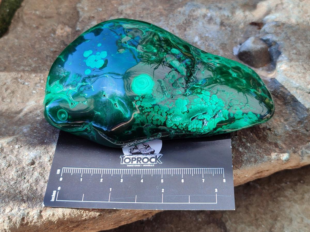 Polished Flower Banded Malachite Free Forms x 4 From Congo