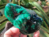 Polished Flower Banded Malachite Free Forms x 4 From Congo