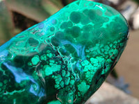 Polished Flower Banded Malachite Free Forms x 4 From Congo