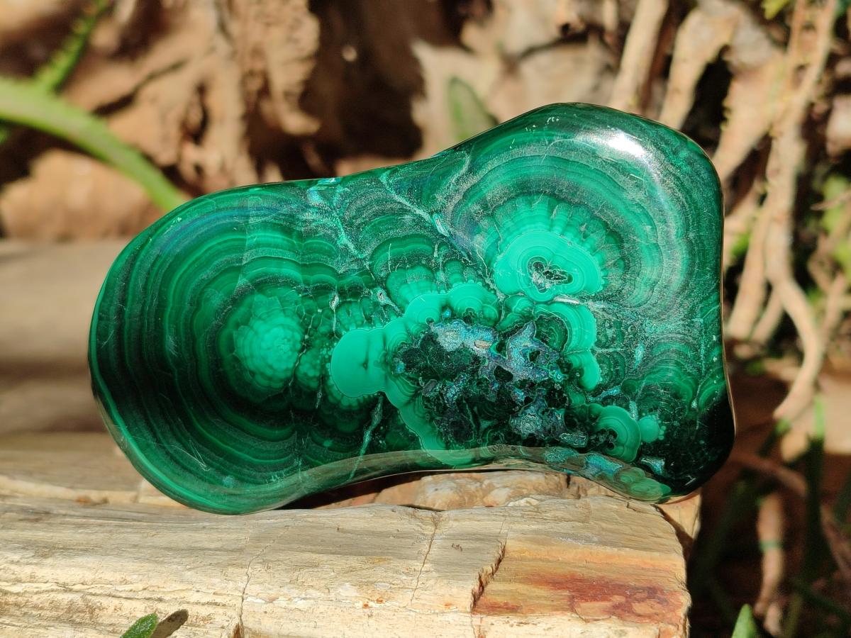 Polished Flower Banded Malachite Free Forms x 4 From Congo