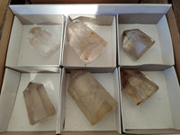 Polished Phantom Smokey Quartz Crystals x 6 From Madagascar