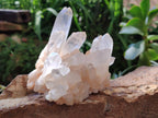 Natural Clear Quartz Clusters x 2 From Madagascar