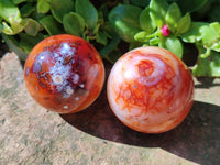 Polished Carnelian Agate Gemstone Spheres x 8 From Madagascar