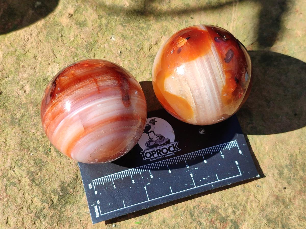 Polished Carnelian Agate Gemstone Spheres x 8 From Madagascar