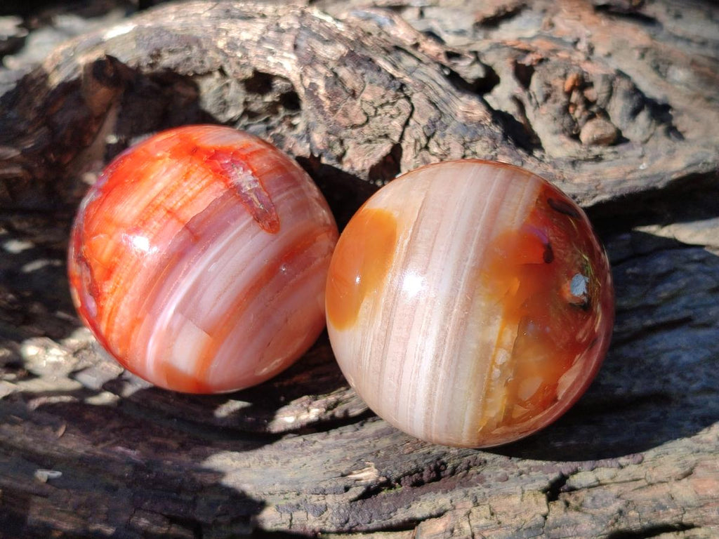 Polished Carnelian Agate Gemstone Spheres x 8 From Madagascar