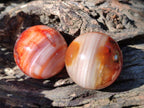 Polished Carnelian Agate Gemstone Spheres x 8 From Madagascar