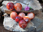 Polished Carnelian Agate Gemstone Spheres x 8 From Madagascar