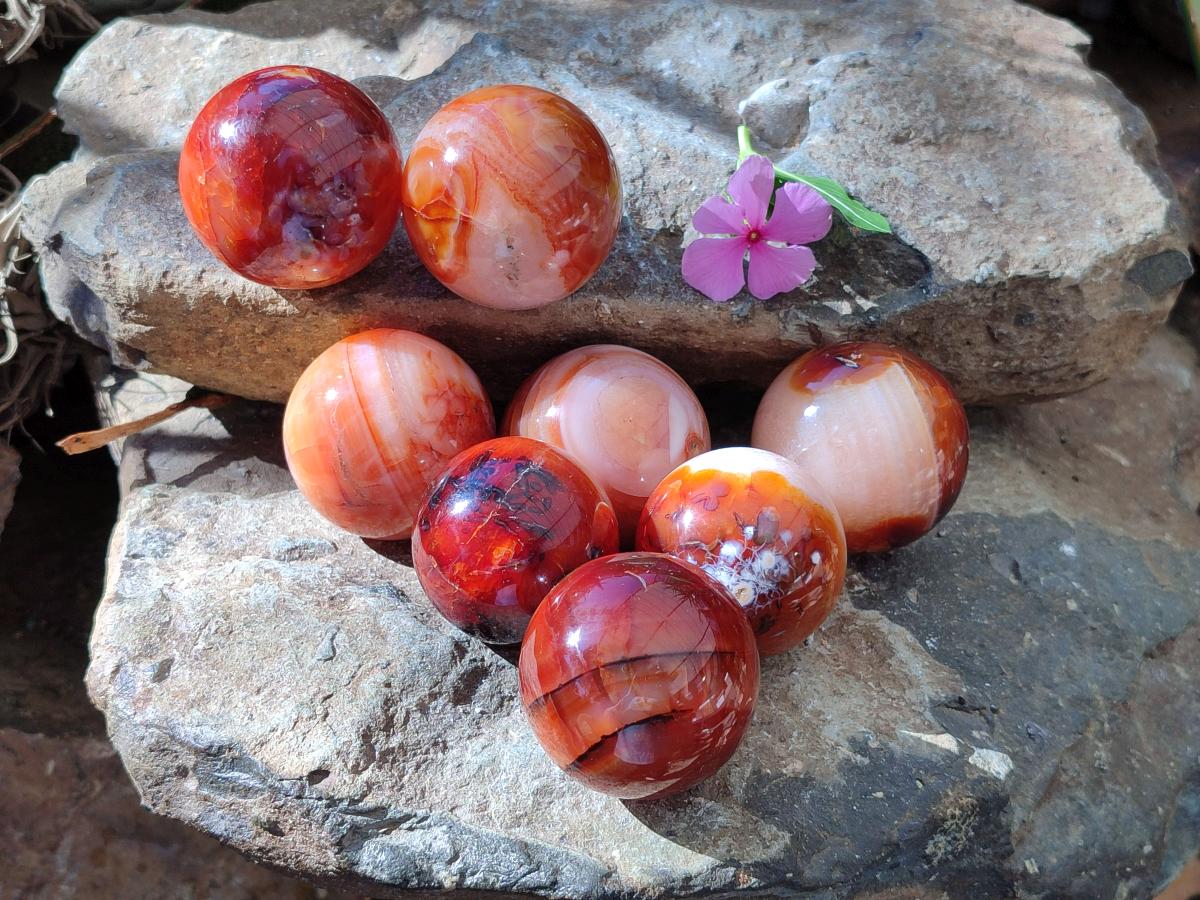 Polished Carnelian Agate Gemstone Spheres x 8 From Madagascar