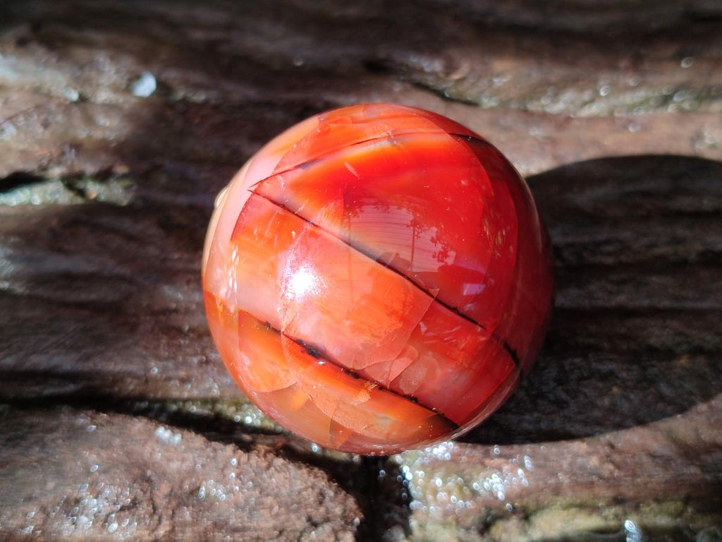 Polished Carnelian Agate Gemstone Spheres x 8 From Madagascar