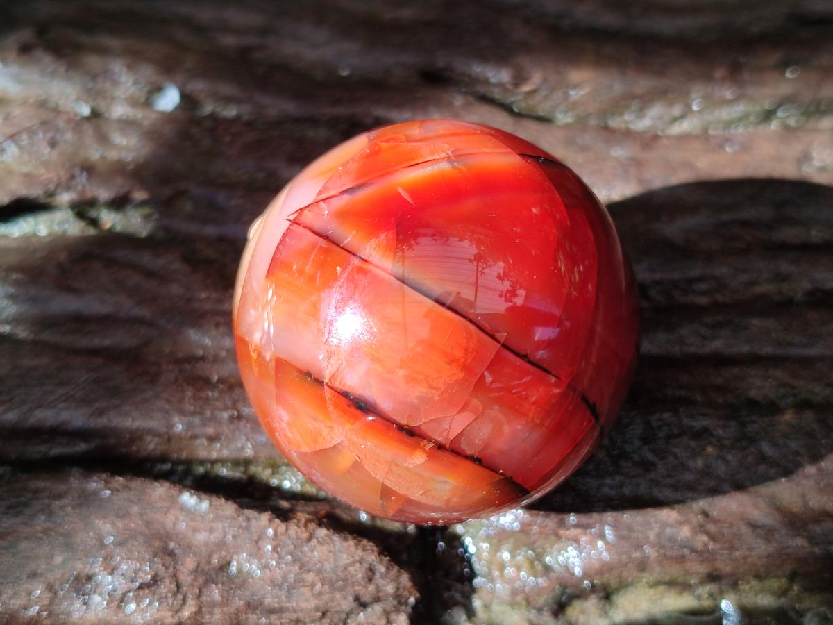 Polished Carnelian Agate Gemstone Spheres x 8 From Madagascar