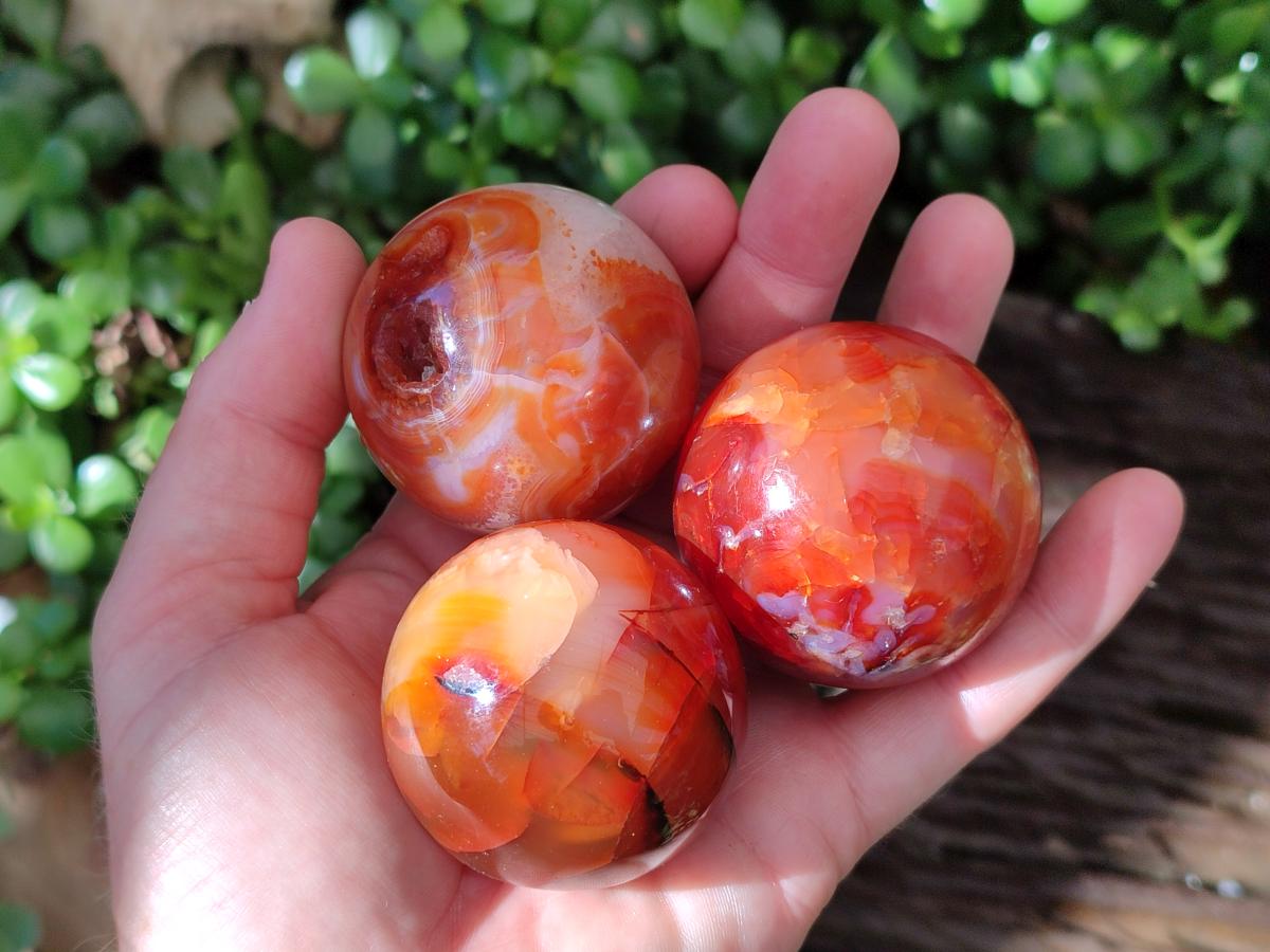 Polished Carnelian Agate Gemstone Spheres x 8 From Madagascar