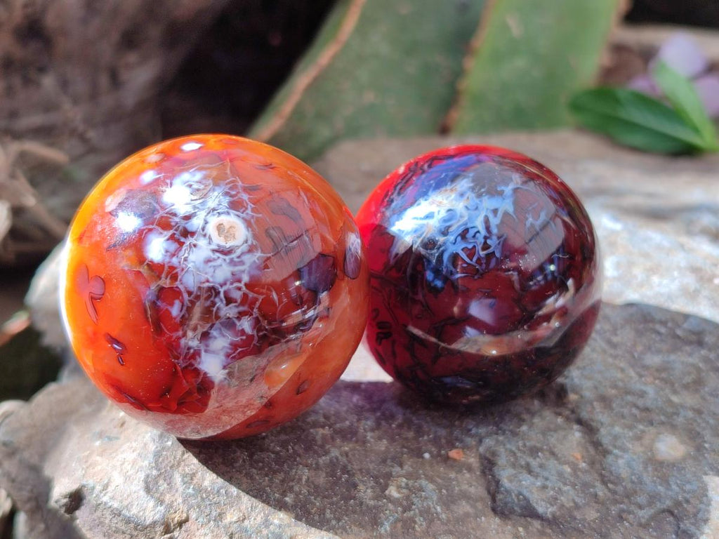 Polished Carnelian Agate Gemstone Spheres x 8 From Madagascar