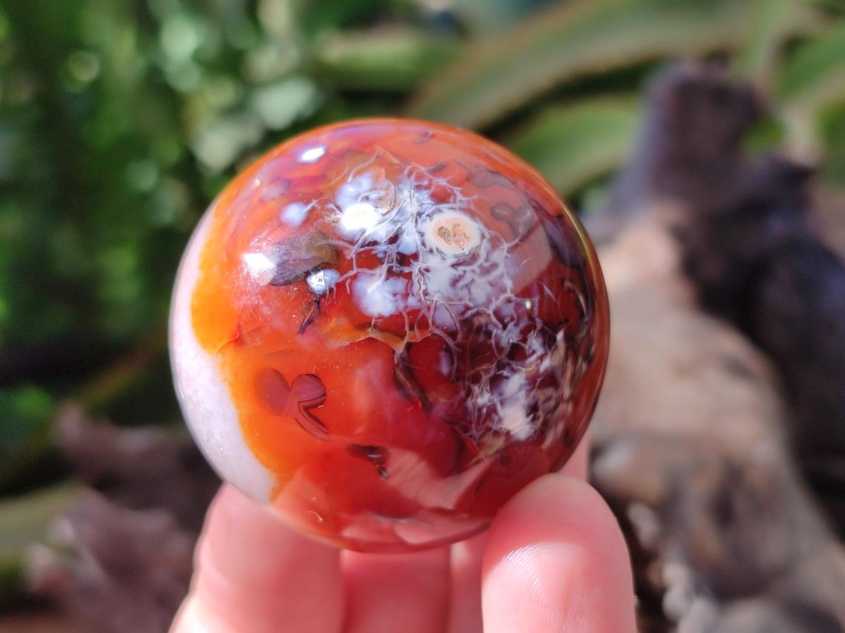 Polished Carnelian Agate Gemstone Spheres x 8 From Madagascar