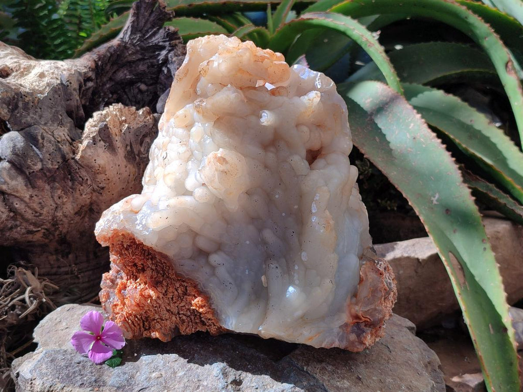 A Natural XL Funky Stalagmitic Chalcedony specimen x 1 Didi, Madagascar