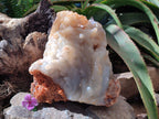 A Natural XL Funky Stalagmitic Chalcedony specimen x 1 Didi, Madagascar