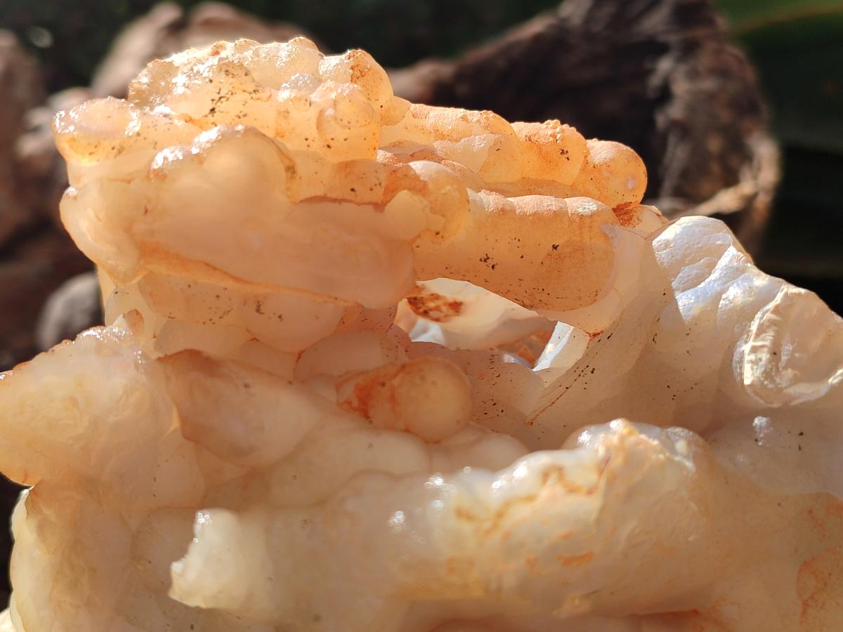 A Natural XL Funky Stalagmitic Chalcedony specimen x 1 Didi, Madagascar