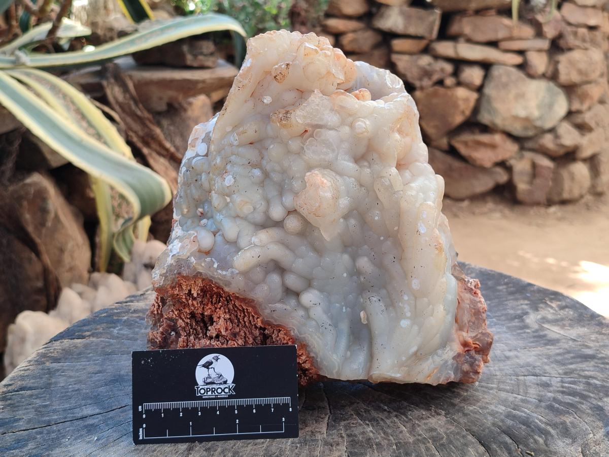 A Natural XL Funky Stalagmitic Chalcedony specimen x 1 Didi, Madagascar