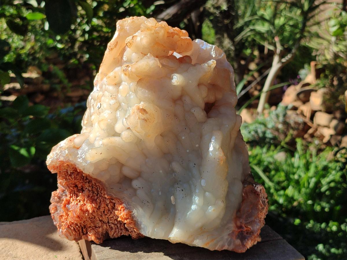 A Natural XL Funky Stalagmitic Chalcedony specimen x 1 Didi, Madagascar