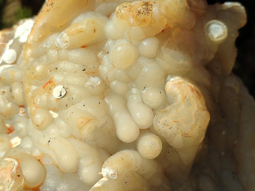 A Natural XL Funky Stalagmitic Chalcedony specimen x 1 Didi, Madagascar