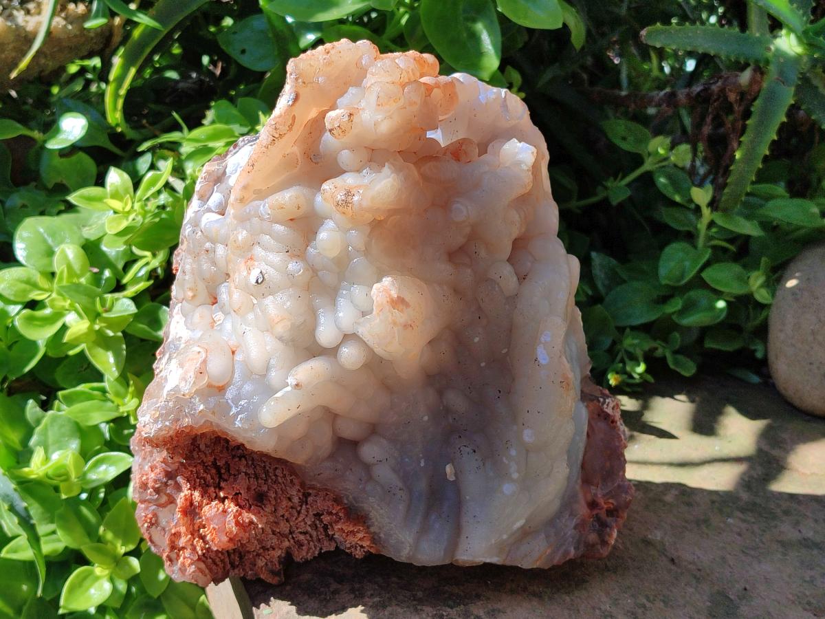 A Natural XL Funky Stalagmitic Chalcedony specimen x 1 Didi, Madagascar