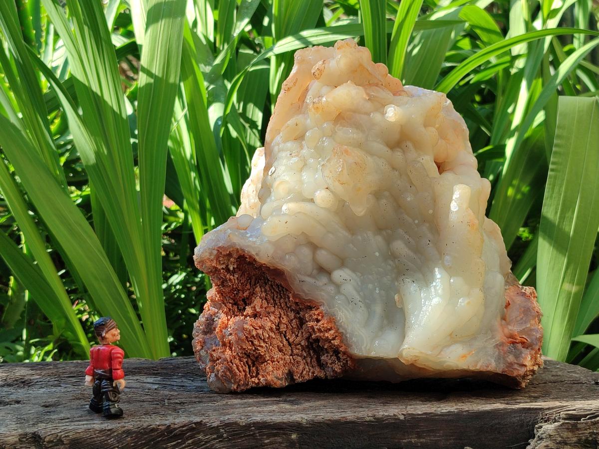 A Natural XL Funky Stalagmitic Chalcedony specimen x 1 Didi, Madagascar