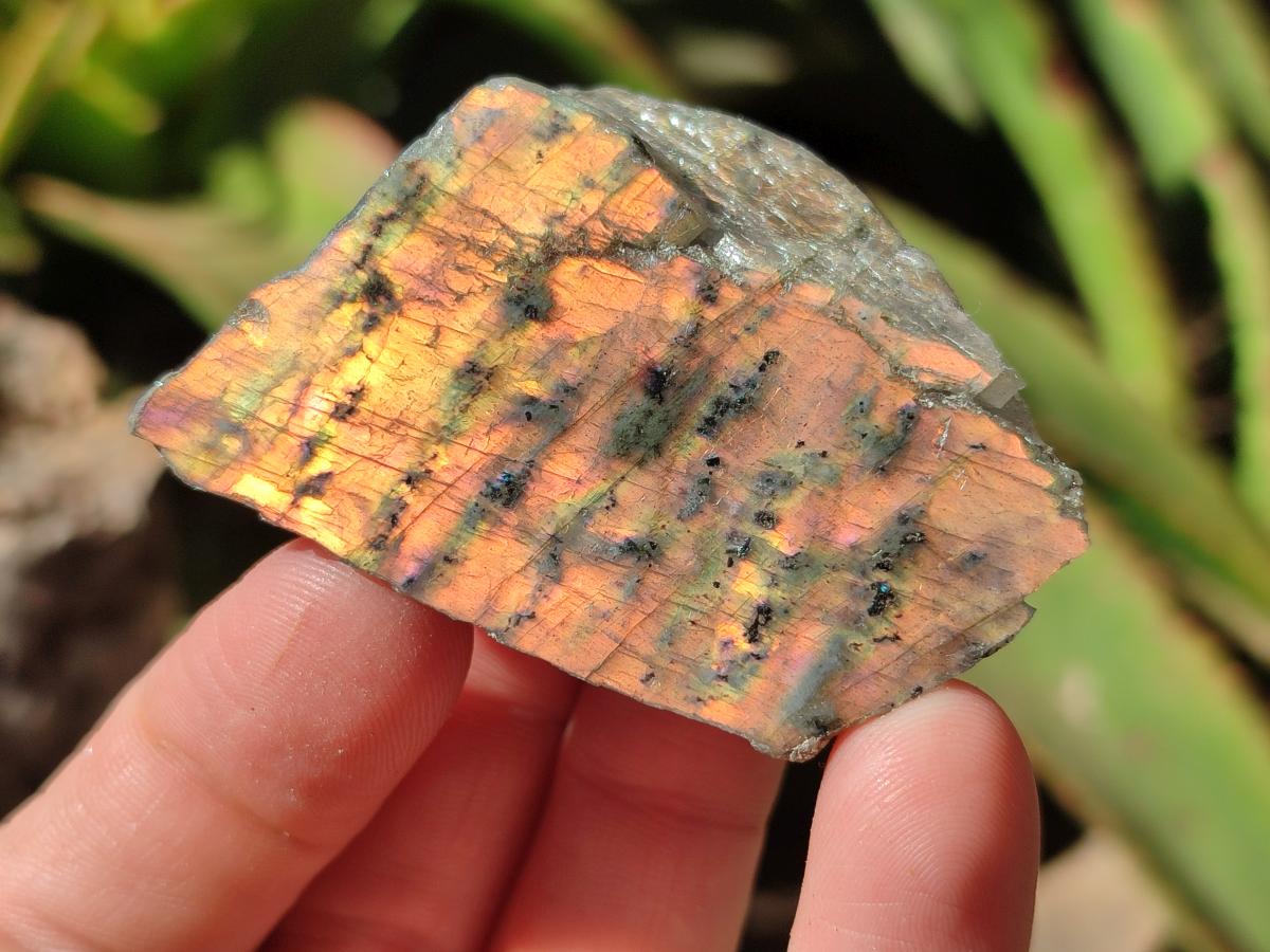 Polished One Side Labradorite Display Piece x 24 From Madagascar